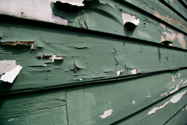 Best Garage Cleanout  in Lockport, IL